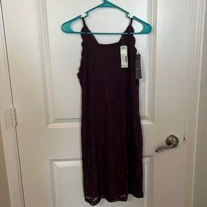 Kenzie lace scallop sheath dress-brand new never worn with tags